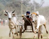 ਅੱਜ ਤੋਂ ਲੁਧਿਆਣਾ ਦੇ ‘ਕਿਲਾ ਰਾਏਪੁਰ ਪੇਂਡੂ ਓਲੰਪਿਕ’ ਖੇਡਾਂ ਦੀ ਸ਼ੁਰੂਆਤ ਹੋਣ ਜਾ ਰਹੀ ਹੈ 